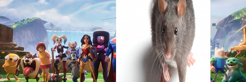 RatoForMVS's profile banner image