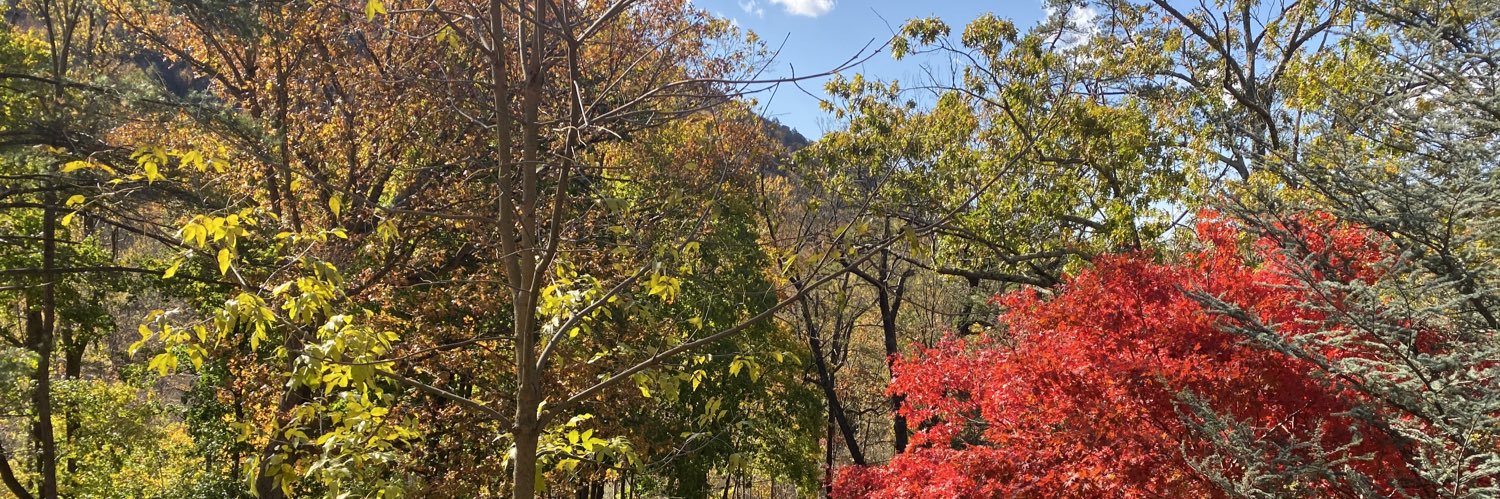 jmcclintock's profile banner image