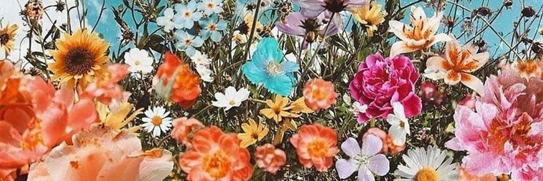 FlorHernandezz5's profile banner image