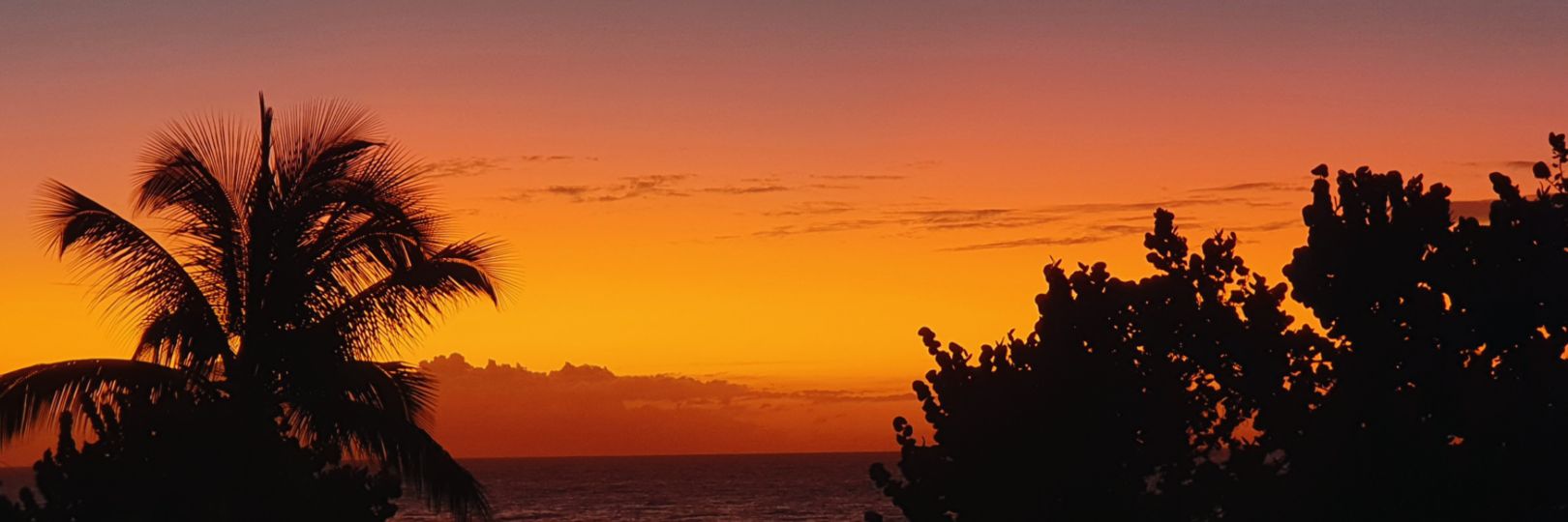 VincentRdt's profile banner image