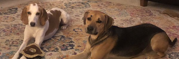 DrHayes2023 Profile Banner