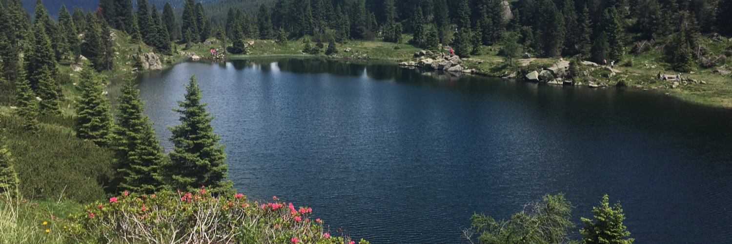 Roberto Signorelli banner