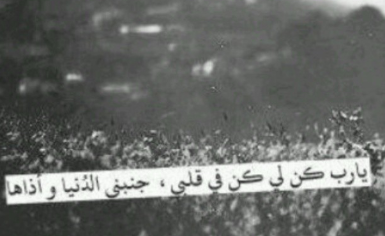 a4ma_a's profile banner image
