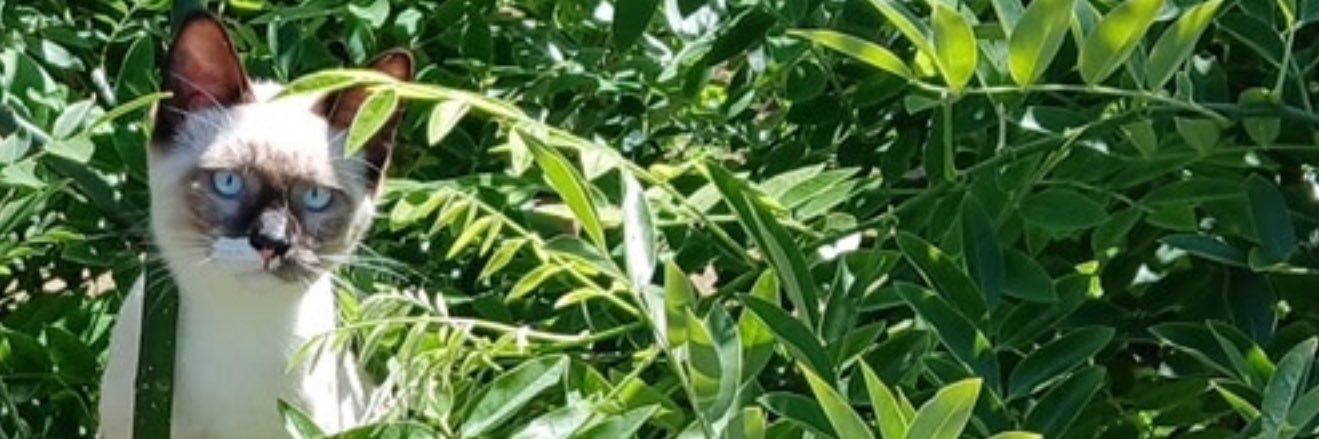 donnie_81's profile banner image