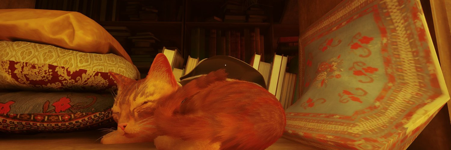 Smol birb banner