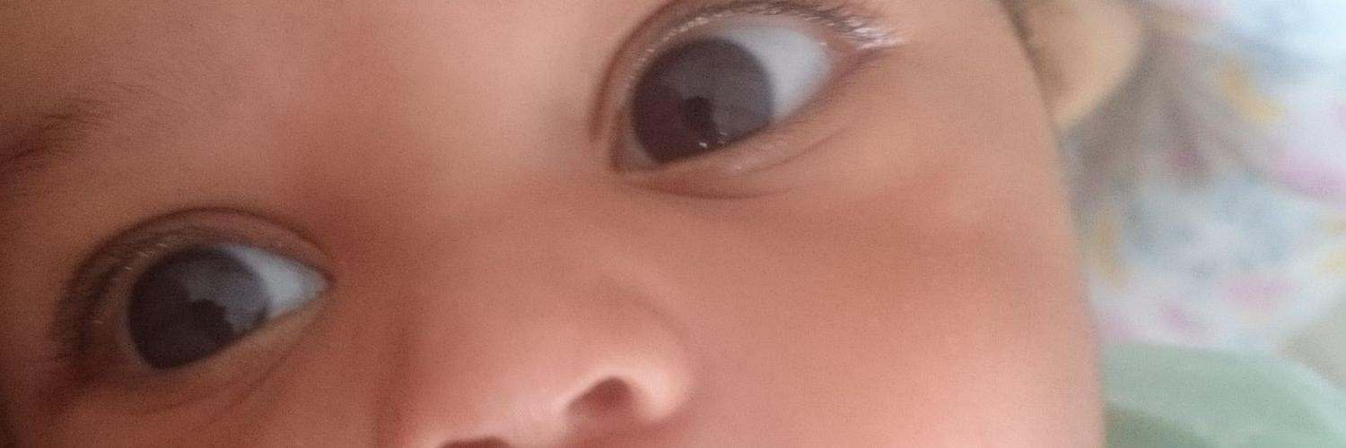 evaovalles's profile banner image