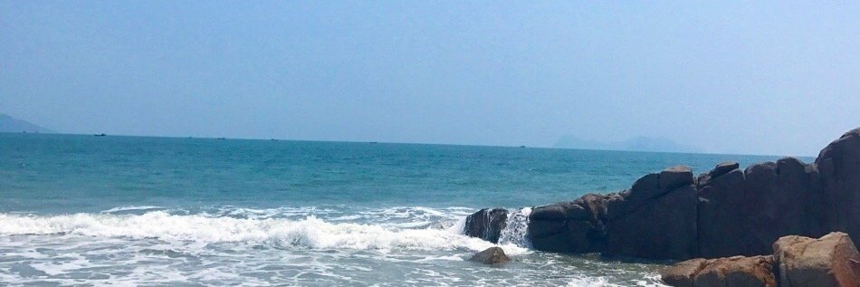 撸空投的狐狸姐 banner
