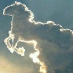 Dange_S's profile banner image