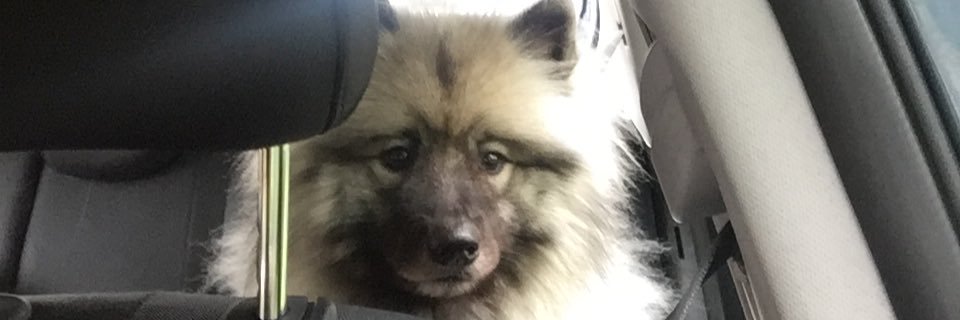 Rachael Ashton banner