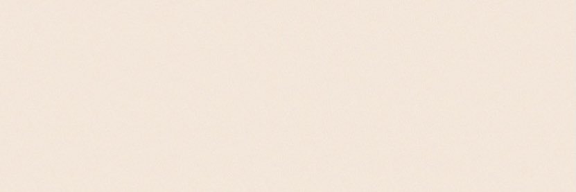 シンドバッド banner