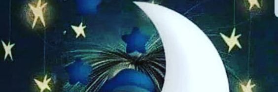 Max Xiu banner