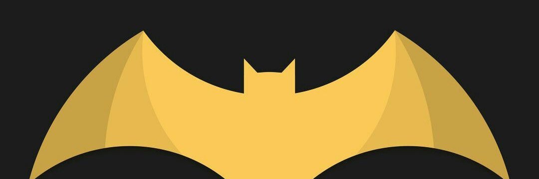 bat5959man's profile banner image
