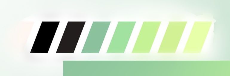 阿双方单位 banner