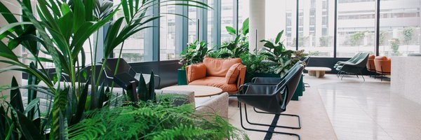 PlantDesignsLdn Profile Banner