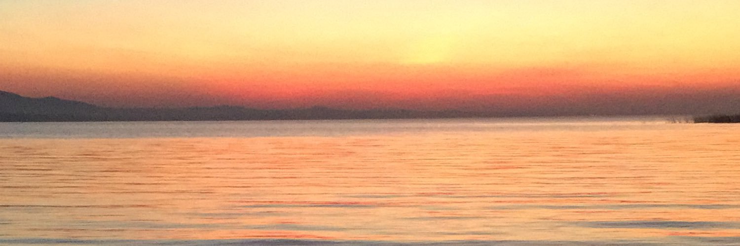 matiritter's profile banner image