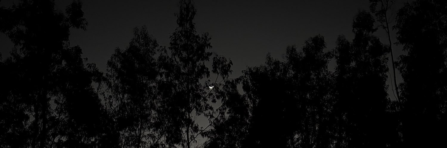 alyssaolayac's profile banner image