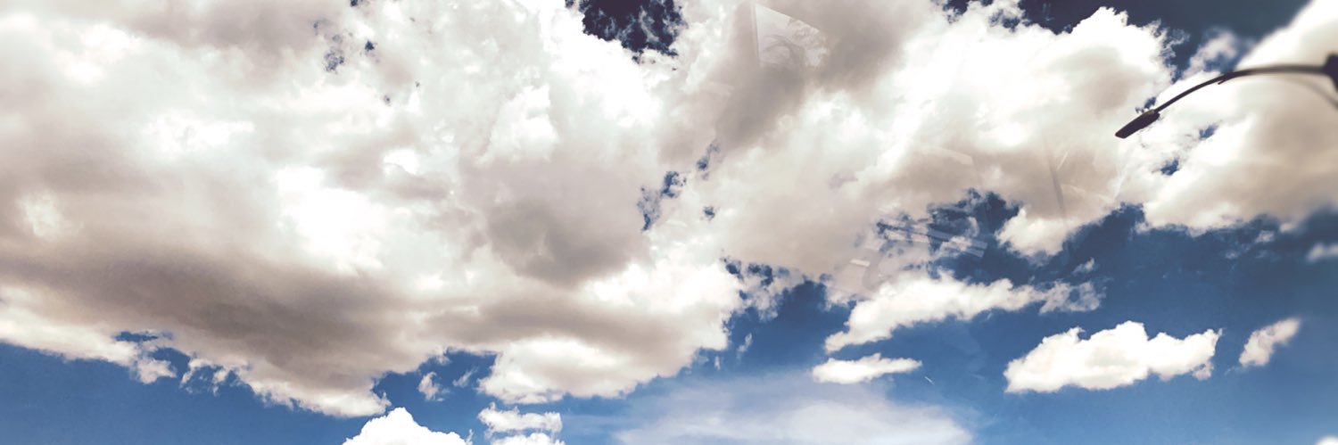 neonfawn's profile banner image