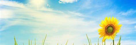 SunnySenior1's profile banner image