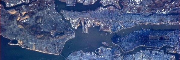 OrchidsBloom Profile Banner