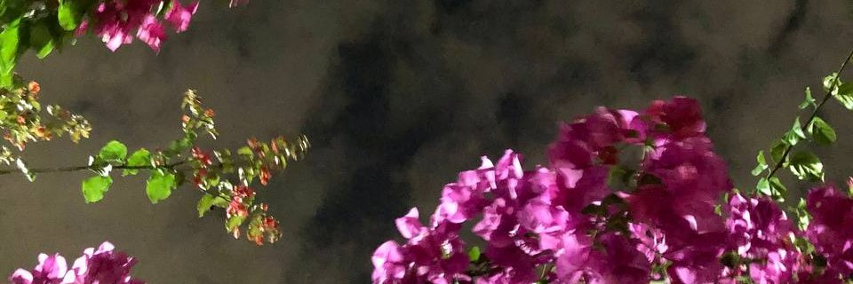 9Ahxx's profile banner image
