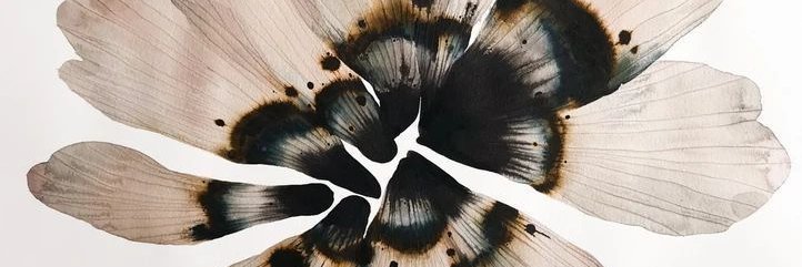 sigmaagus's profile banner image