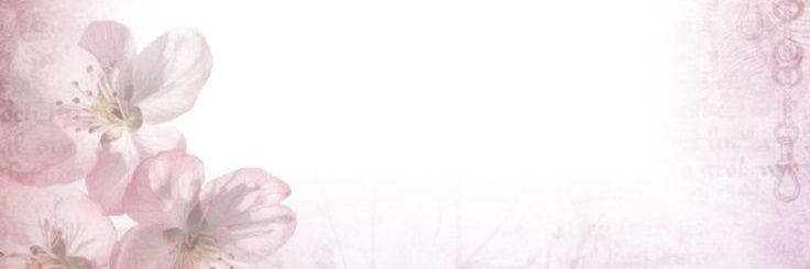 Lila ノ Rye ৎ୭ banner