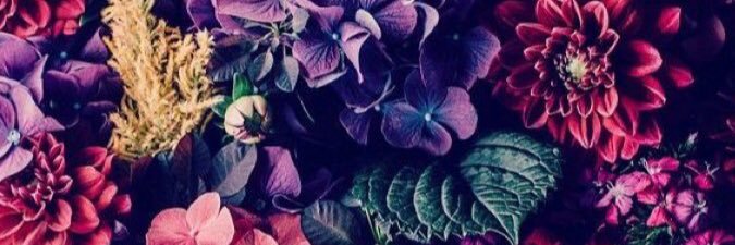 stylgorithm's profile banner image