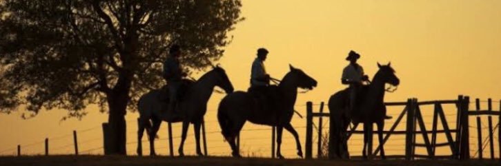 ale_ganso's profile banner image