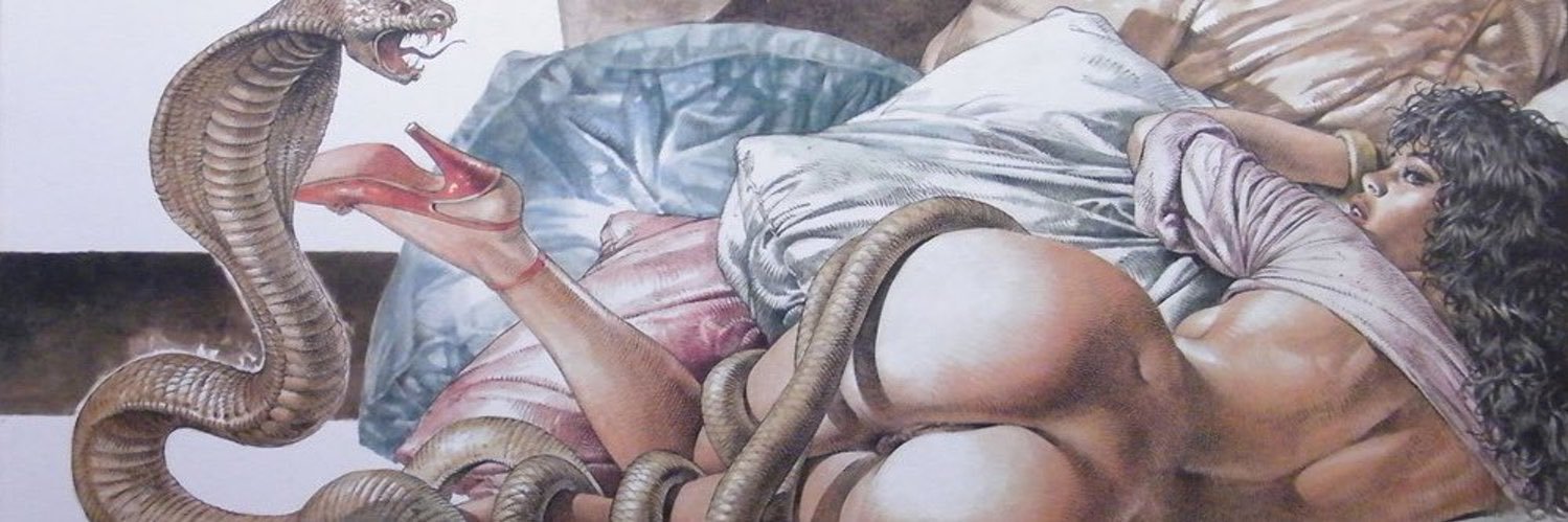 genollet's profile banner image