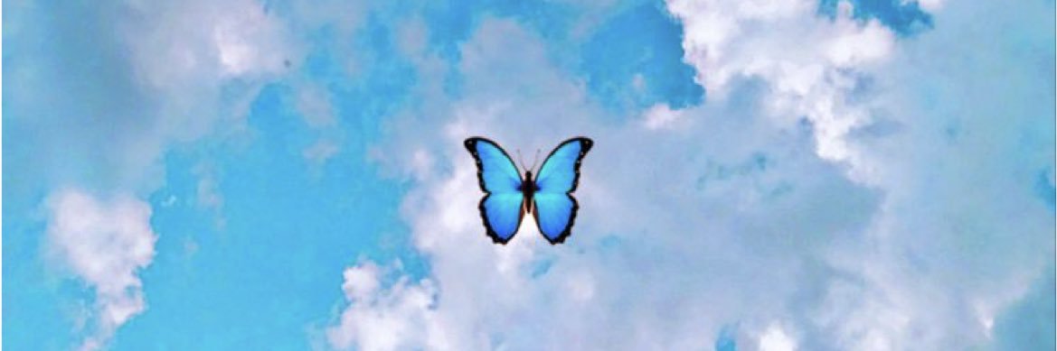 samaher__w's profile banner image