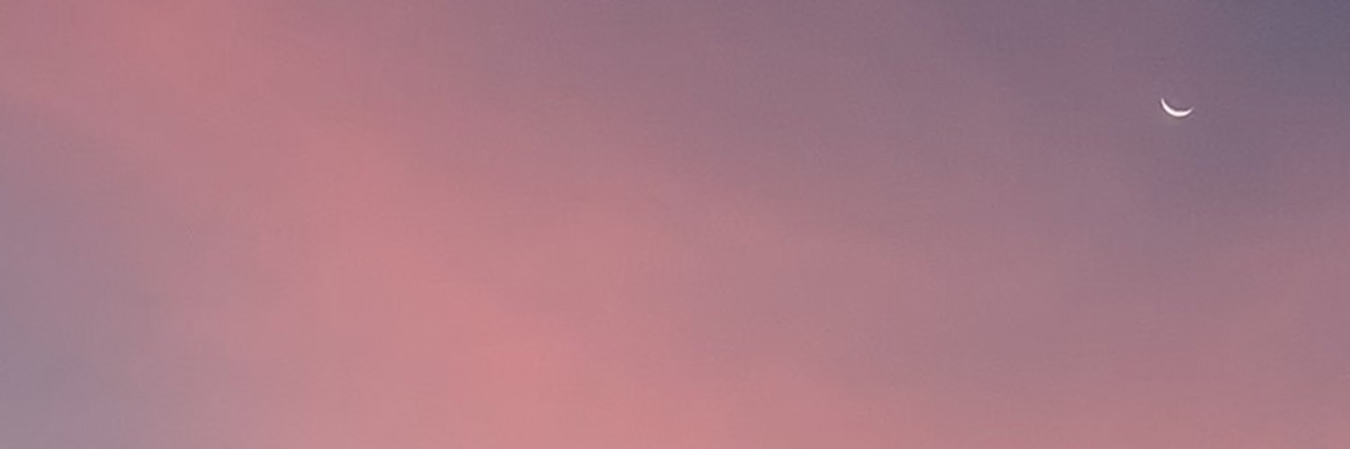 sophiablm's profile banner image
