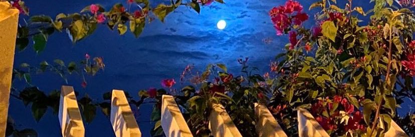 NNORA_1's profile banner image