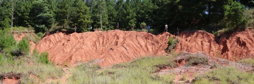 PaleoLab USP-RP banner