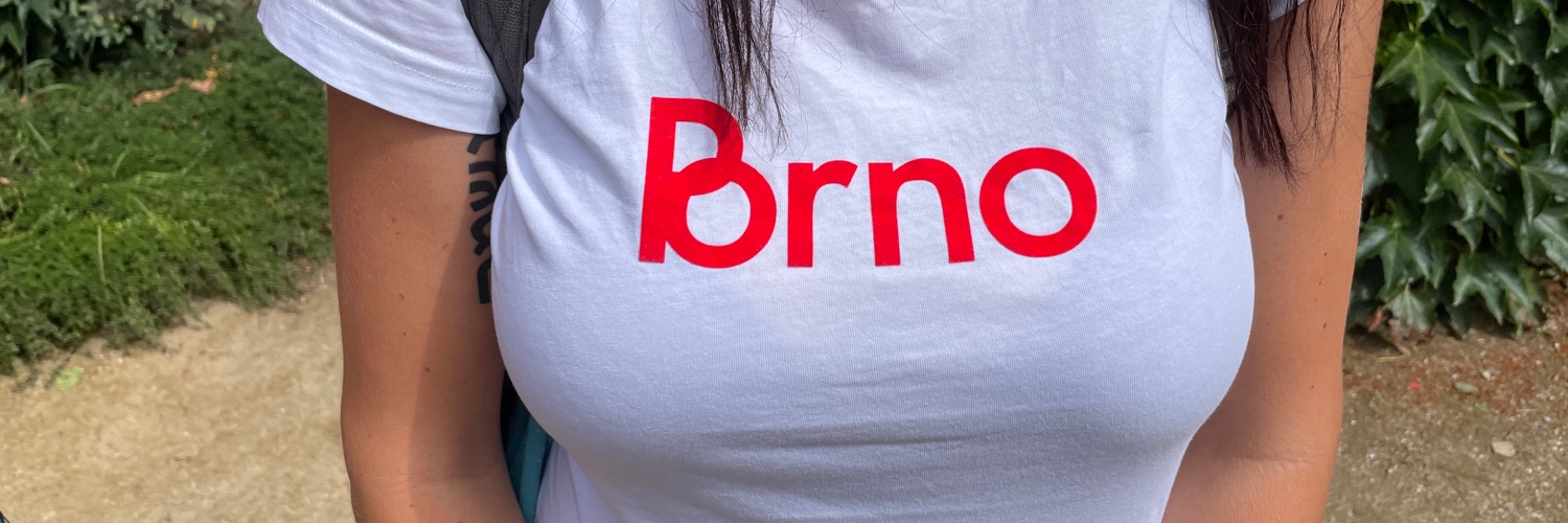 Láďa Malý cynický princ banner