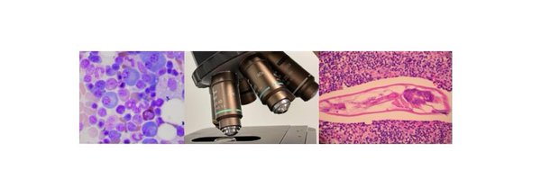 MSPathologists Profile Banner