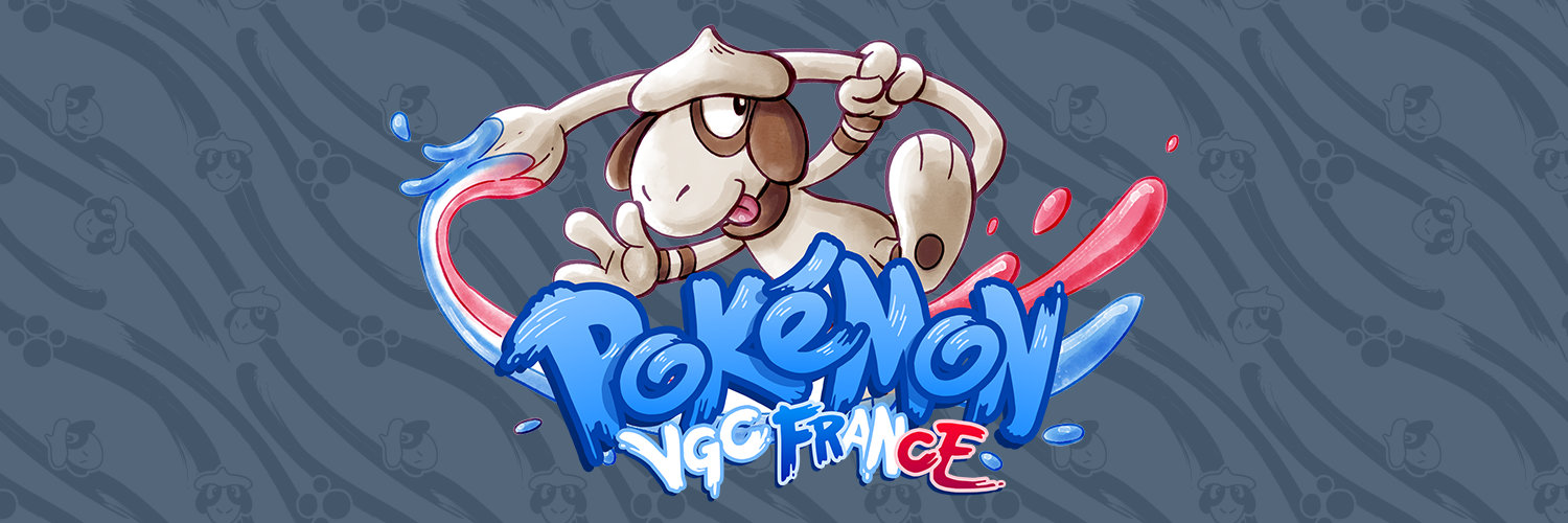 VGC France banner