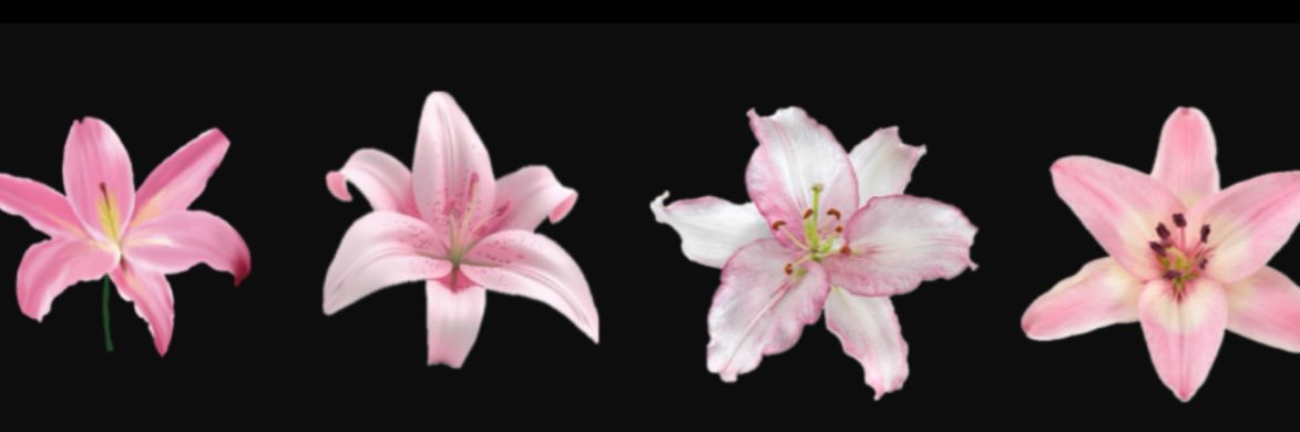 CittySierra's profile banner image