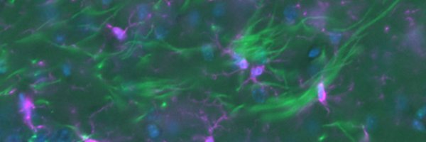 JacksonMace13 Profile Banner