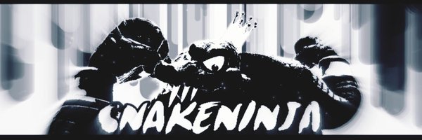 SnakeNinja12 Profile Banner