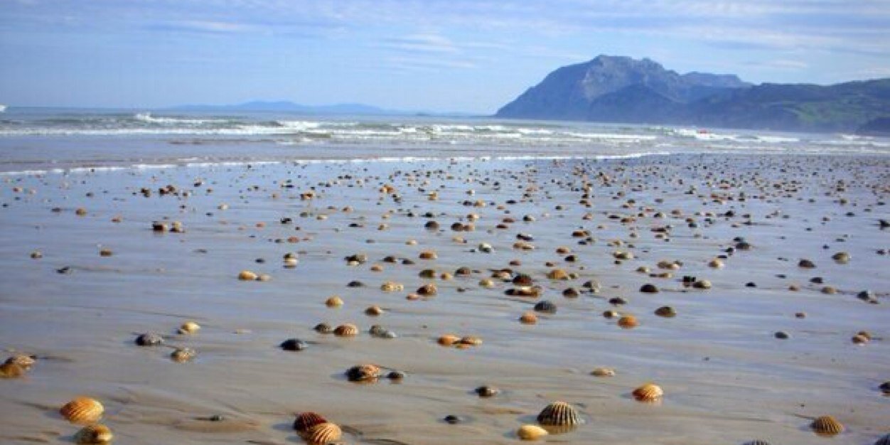 Tommy 🏳‍🌈👨‍🏫👨‍👨‍👧‍👦 banner