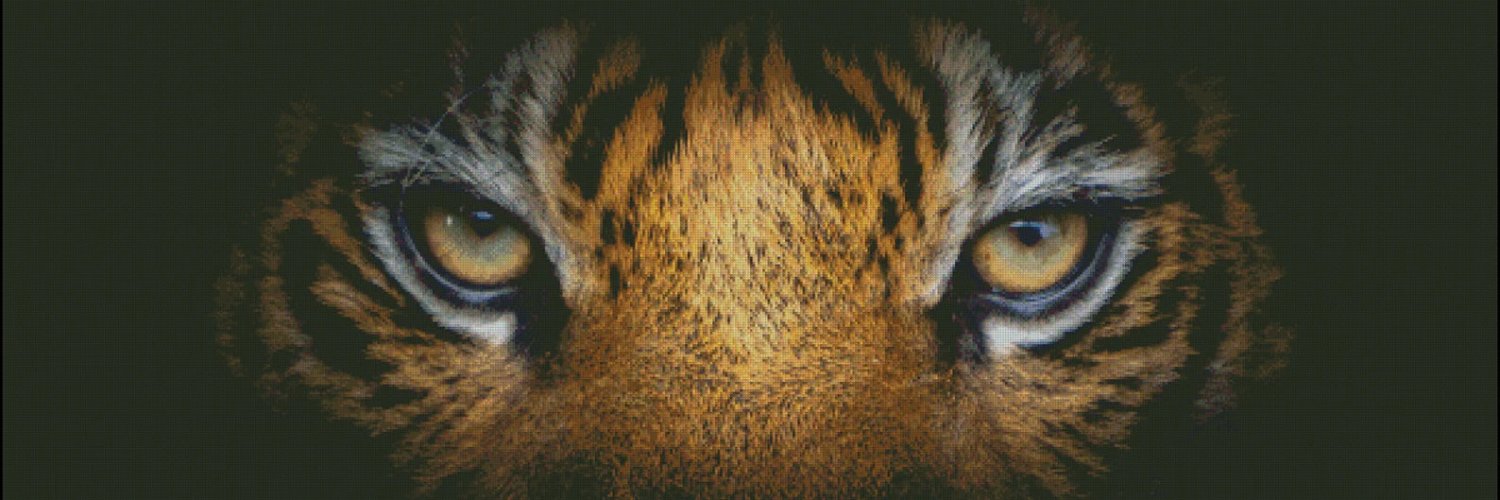 Pickerington High School Central banner