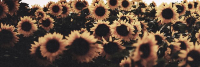 Morgan_hansen22's profile banner image