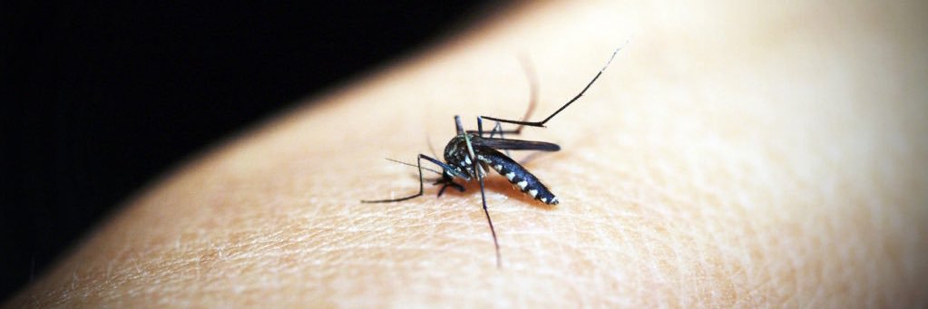 Leger-Abraham Lab banner