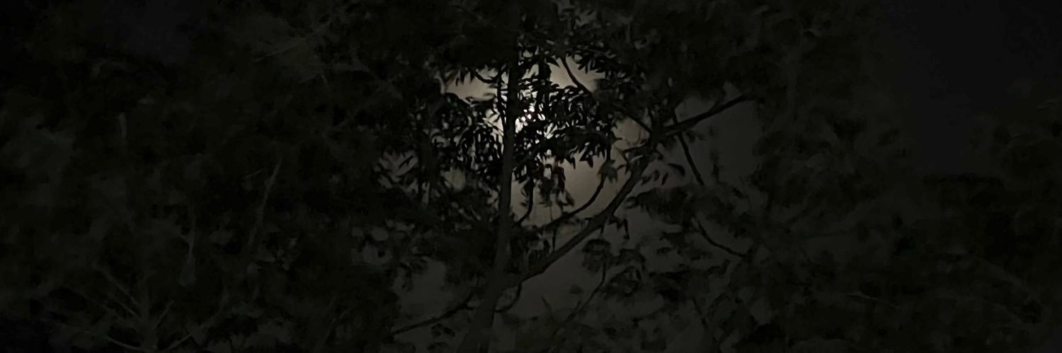 chguyd ✝️ banner