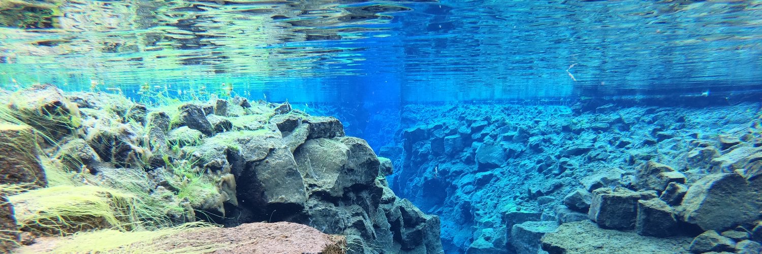 Michelle R. Martinelli banner