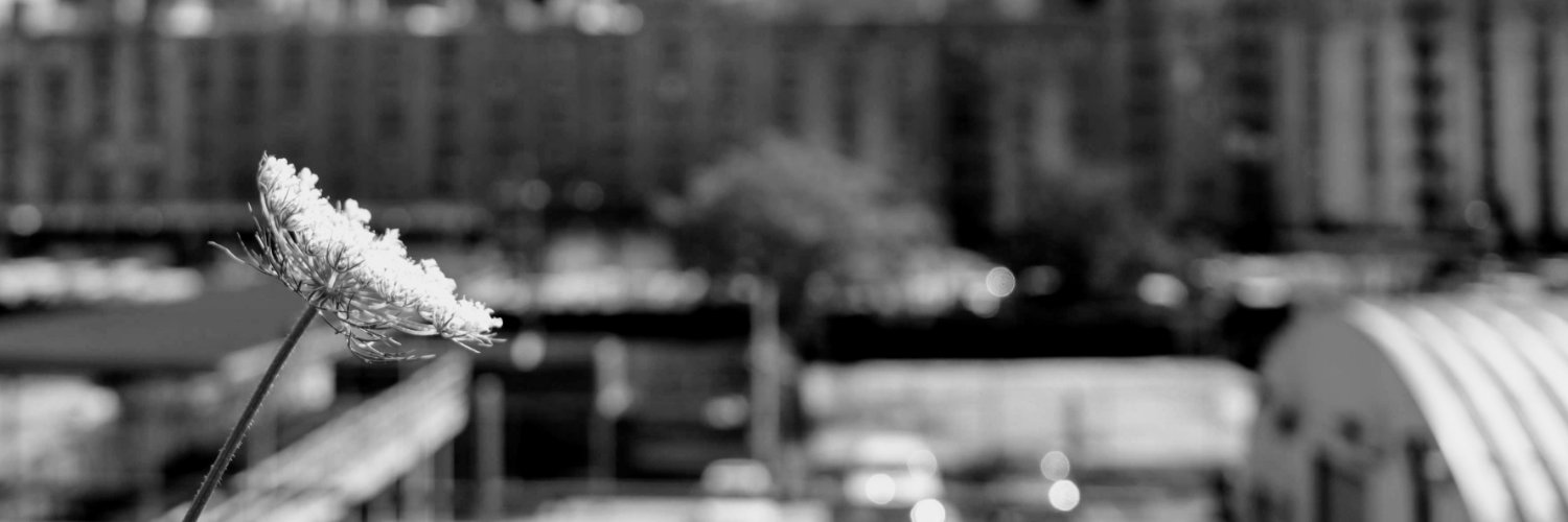 Josefina Hughes banner