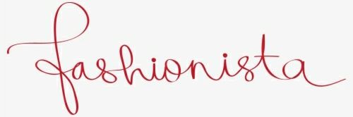 Franthefashionista banner