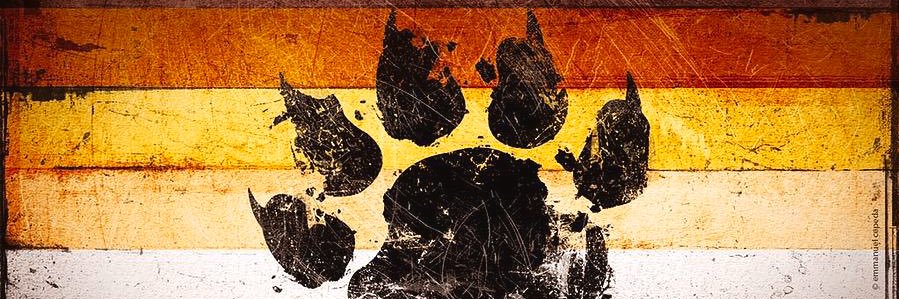ChubbieBear banner