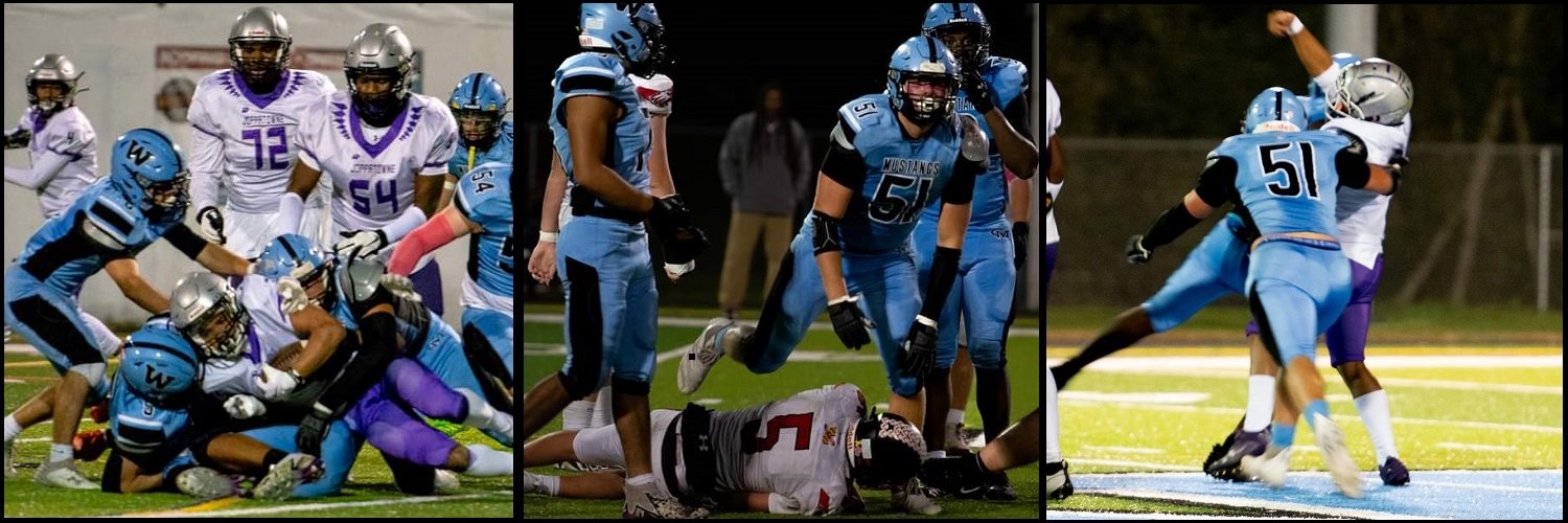 Cameron Stepp banner