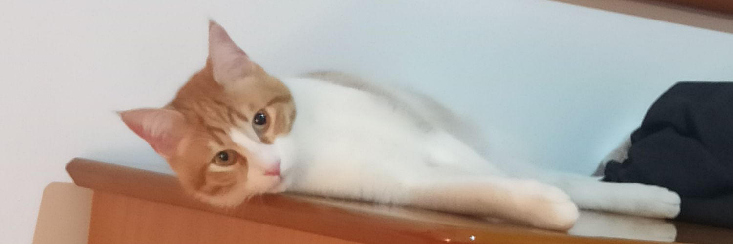 Rino Modonutti banner